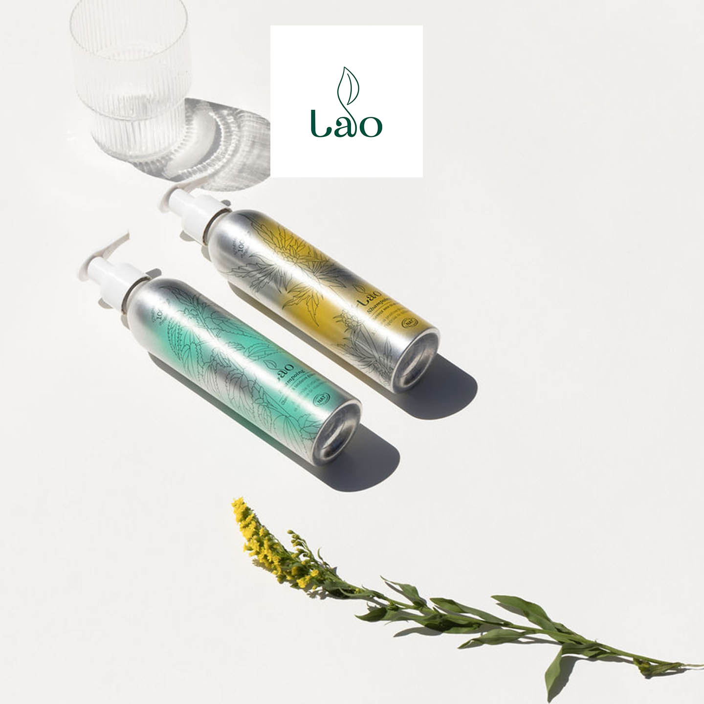 LAO Care 
