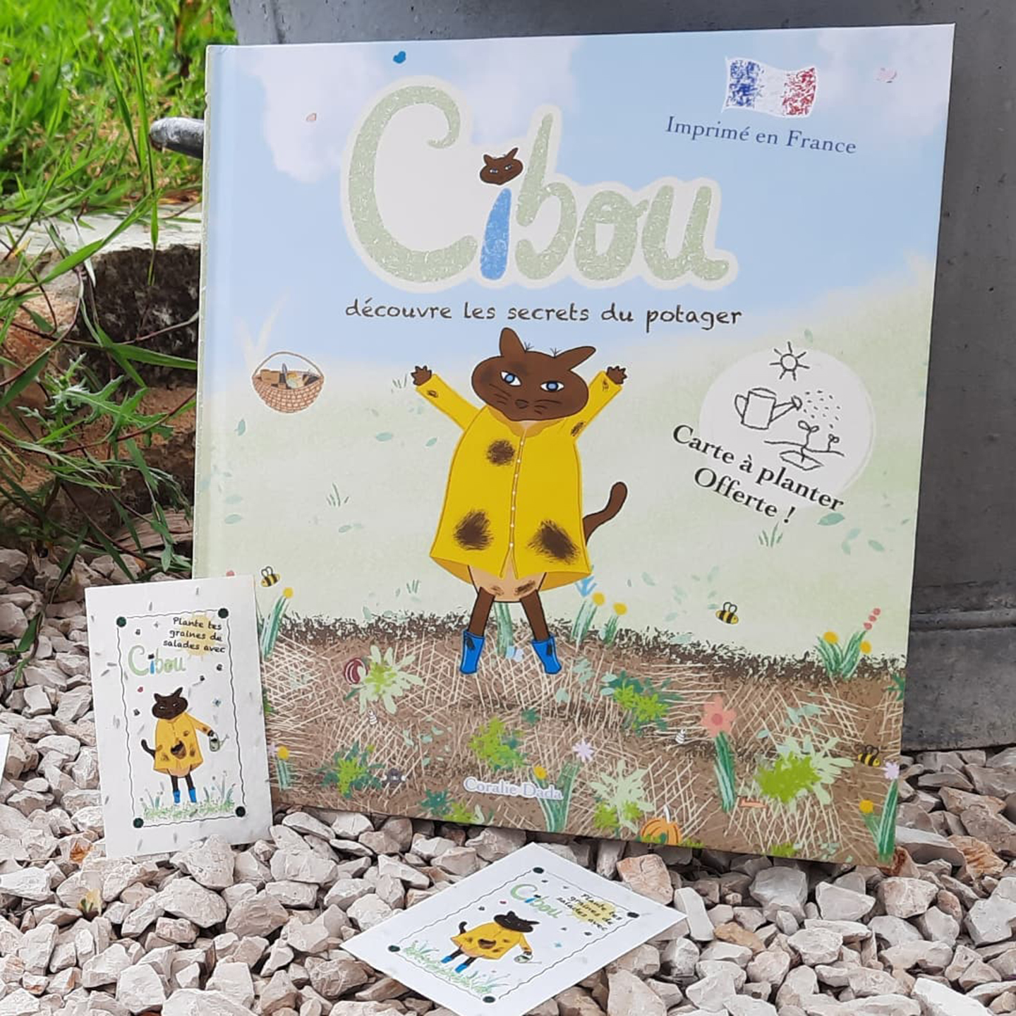 Ciboulelivre BIENTOT DISPONIBLE