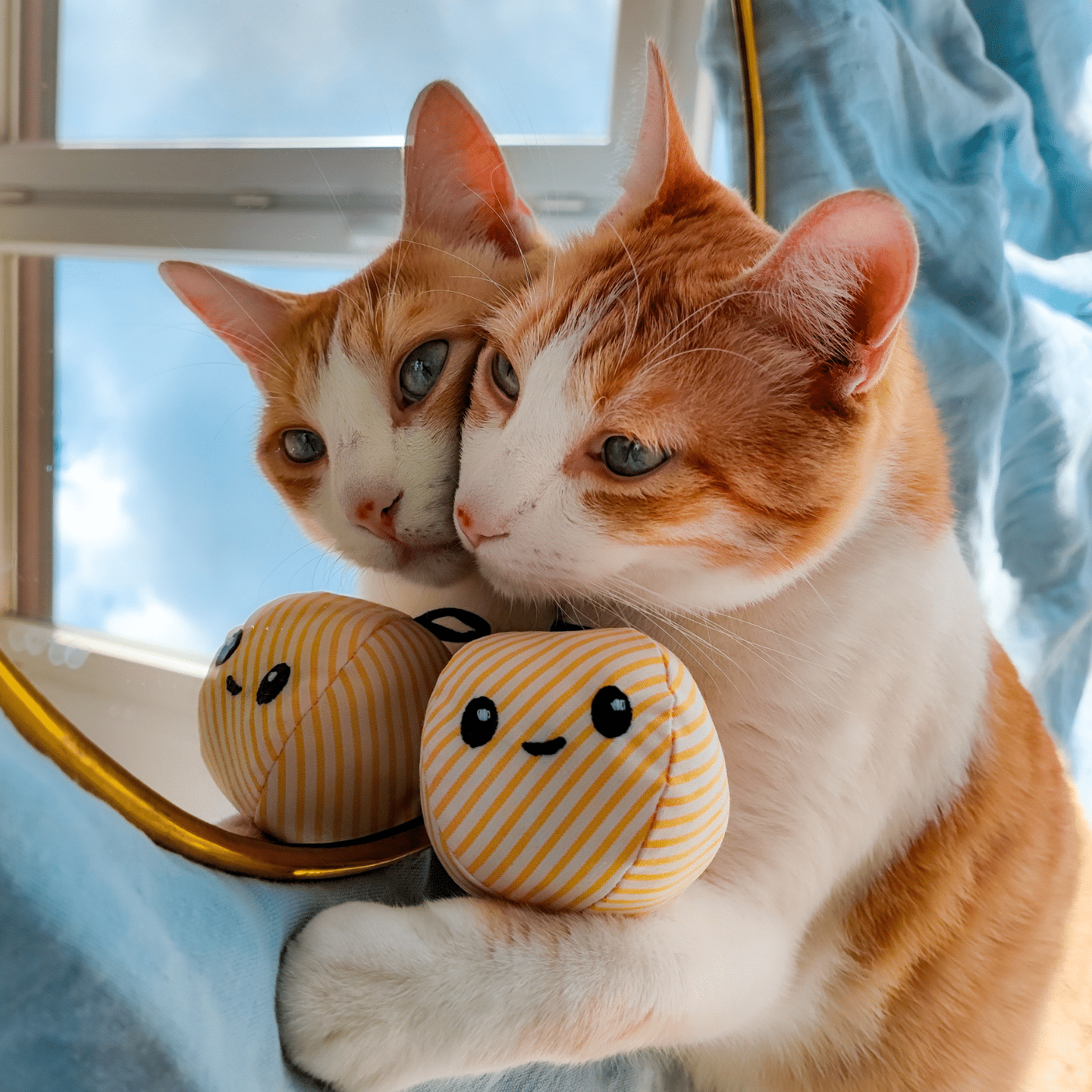 Petits Fripons
