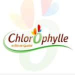 logochlorophylle